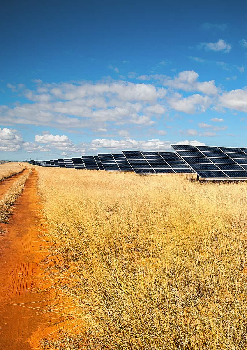 In einer trockenen Graslandschaft stehen lange Reihen von Solarmodulen entlang eines Feldwegs unter blauem Himmel.