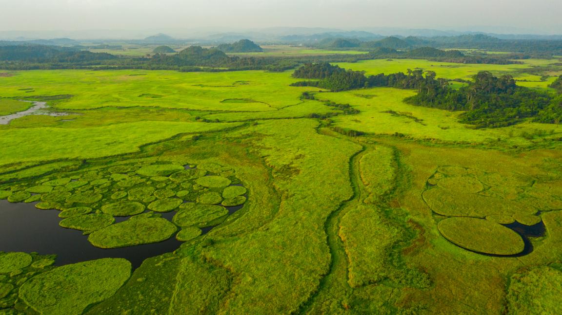 An aerial view of a green, water-rich natural landscape in Viet Nam.
