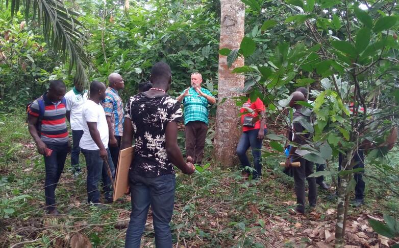 Foto 3 TGS-FL-Agroforsterie