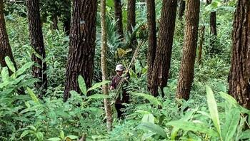 2020 03 31_APCC image 2