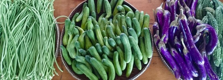 Vegetables from Laos produced according to GAP. Photo: GIZ