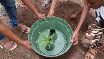 7) Waterboxx Technology at Nursery Site (2017)
