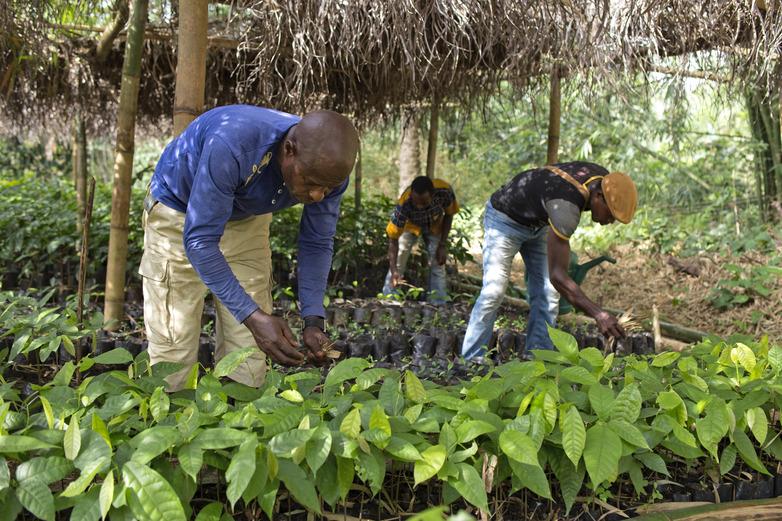 Bild 2_A-Schuecke_2015-n_PSMNR_Obonyi3-nursery-1