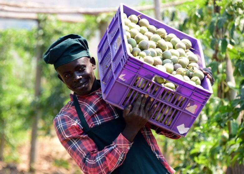 Employee standing behind several packets of corn flour. Copyright: Emmanuel Hitimana