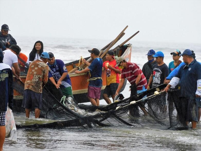 COLLECTION OF FISHERY INFORMATION IN THE MARINE COASTAL AREAS IN ECUADOR