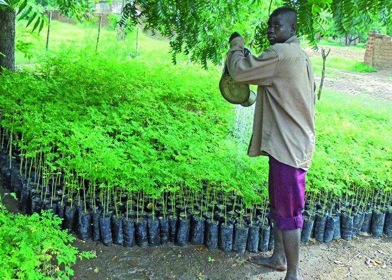 Burkina Faso. Making preparations for greening measures © GIZ