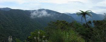 ForClim-II_Panay-Mountain_rdax_460x183_rdax_350x139