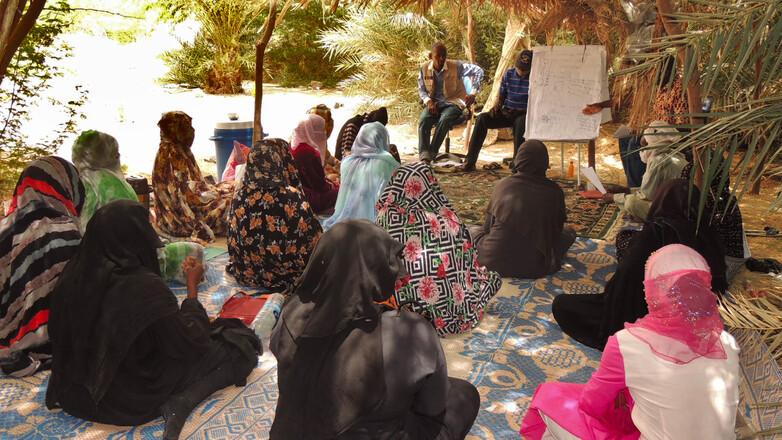 Workshops für Ackerbaugruppierungen