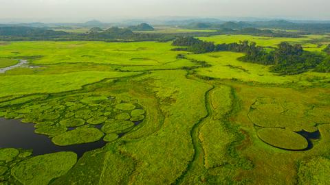 giz-2023-image-binh-dang-wetland-vietnam