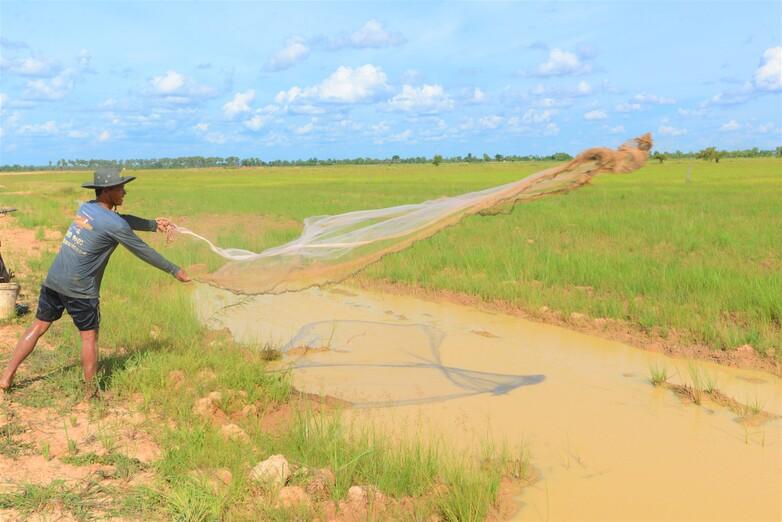 giz-2023-image-rice-fish