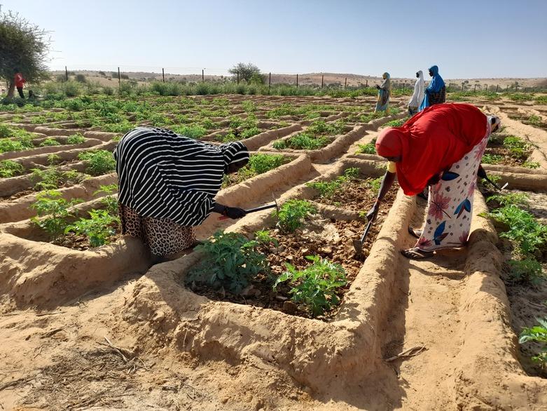 giz-IMAGE-2022-arbeit-auf-dem-feld