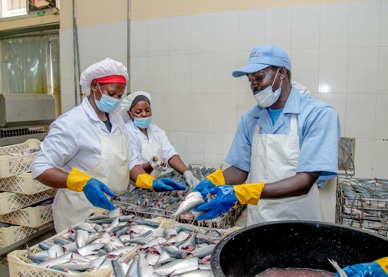 giz-IMAGE-2022-fishfactory