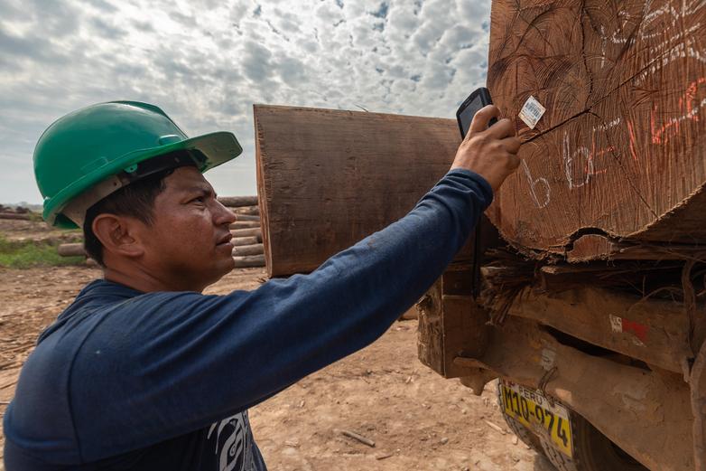 Un empleado de una empresa forestal escanea un código de barras para comprobar si la madera es de origen legal.
