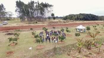 giz-IMAGE-2022-zitrusfrüchte