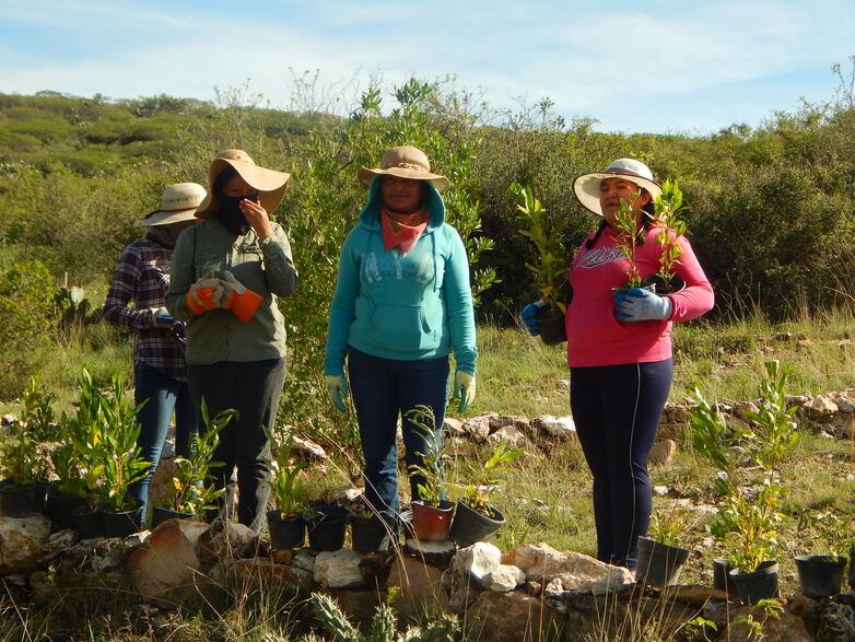 GIZ-IMAGE-28-03-22-frau-mit-saetzlingen