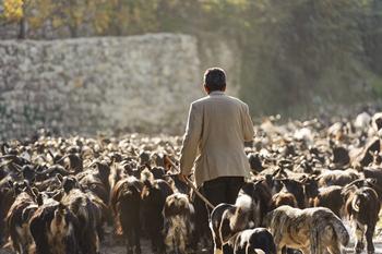 GIZ_IMAGE_SRD_Albania_1