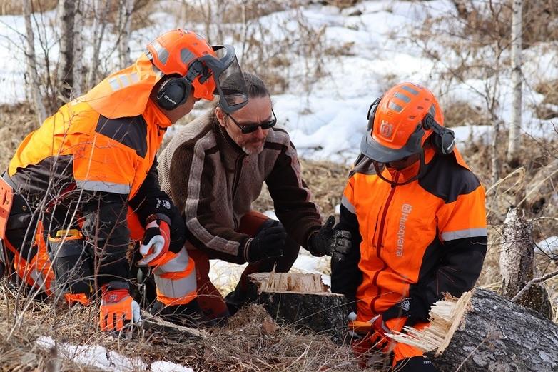 Practical demonstration of forest thinning.