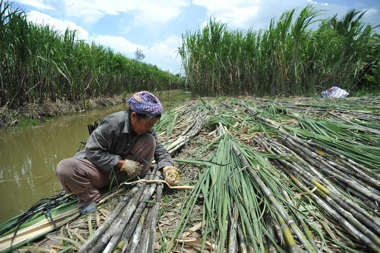 giz-vietnam-klimaschutz-01