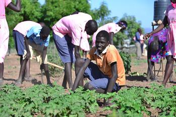 Kenia. Schülerinnen und Schüler arbeiten in einem Schulgarten im Flüchtlingslager Kakuma. © GIZ / Alex Kamweru
