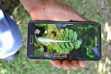 Using ICT as part of the cooperation with Vastfontein, a South African NGO © GIZ