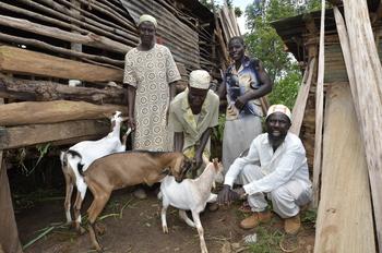 GIZ2019_Sustainable_agriculture_1