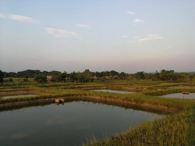 giz2021-sv-fischerei-und-aquakultur-2