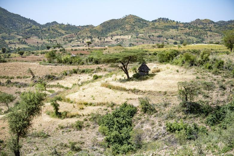 Diversified land management with erosion control in the highlands.