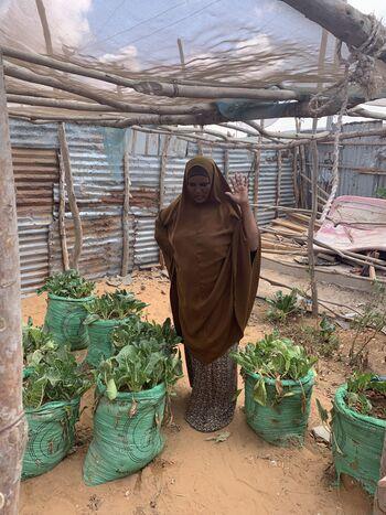 giz2023-image-kitchen-garden-medina