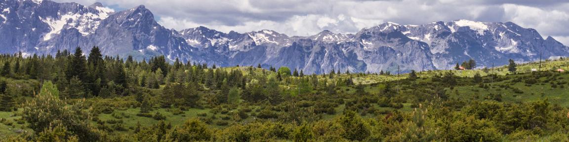 Ein schneebedecktes Gebirge, davor grüne Wiese mit Bäumen und Sträuchern
