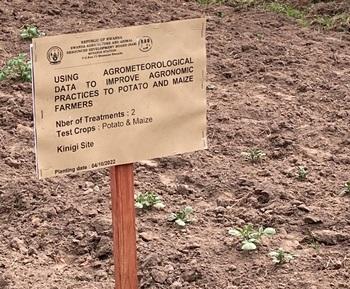 The use of digital information systems promoting sustainable and climate change-adapted agriculture in Rwanda is tested in test fields.