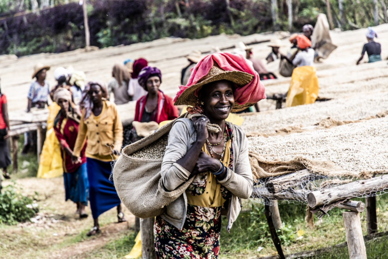 Women drying coffee in Ethiopia.