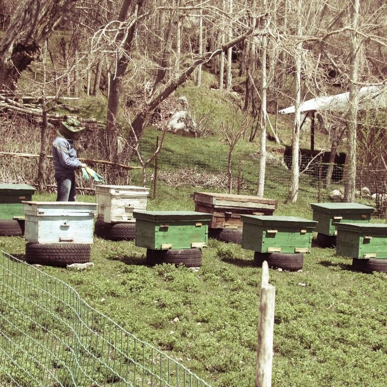 gizIMAGE-2022-produktionsstätte-honig