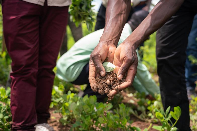 Eine Person hält Erde in den Händen.