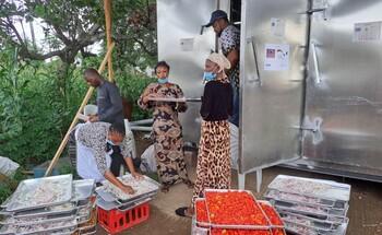 Community members preparing food trays for drying in a solar-powered facility, demonstrating collaborative efforts in a safer and healthier food processing.