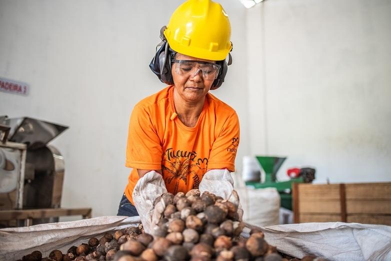 Promoting the sustainable cultivation of cosmetic raw materials in the Brazilian Amazon rainforest.