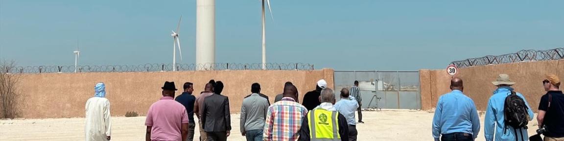 Des participant·e·s au projet visitent un parc éolien à Nouakchott.