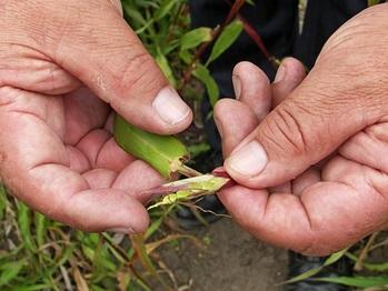gizIMAGE-forschungskooperation-ecuador