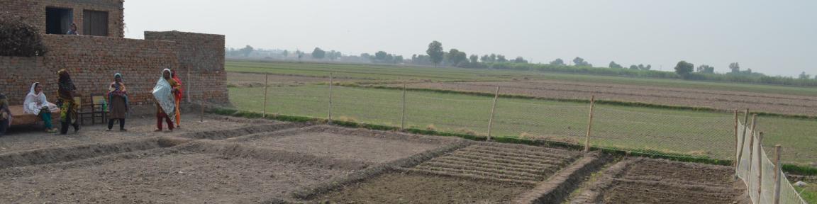 Bäuerinnen stehen gemeinsam auf einem Feld.