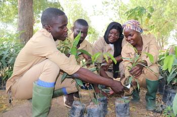 gizImage-Kamerun-Baumwollwirtschaft-1