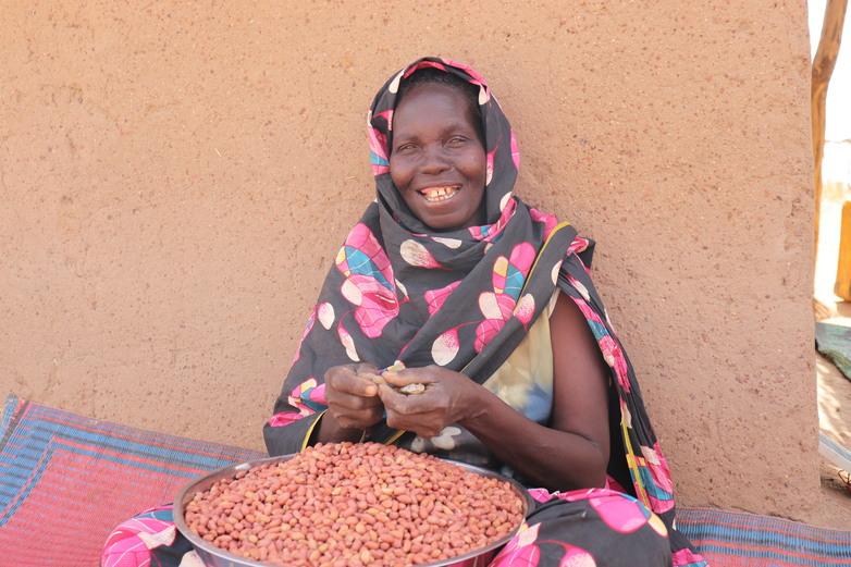 gizImage-Kamerun-Baumwollwirtschaft-3