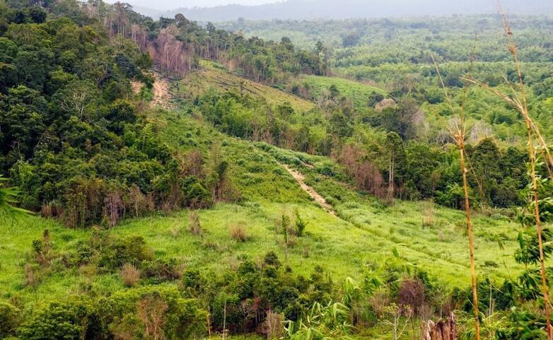 Landschaft im nationalen Schutzgebiet Hin Nam No in Laos mit grüner Vegetation und bewaldeten Hügeln.