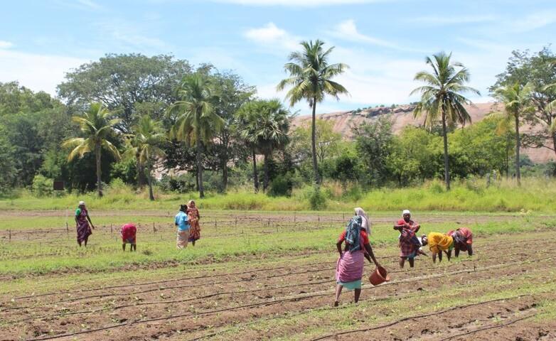 gizIMAGE-mainstreaming-climate-risk-insurance-1