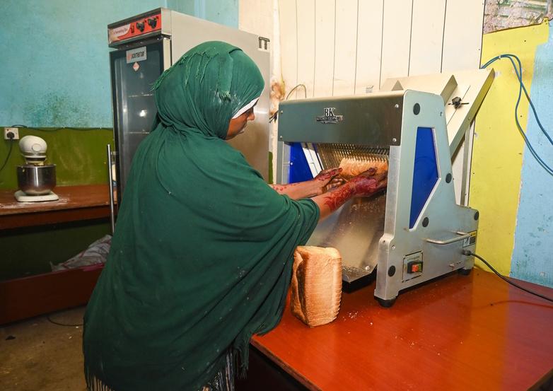 gizIMAGE_PKB-Reintegration-Somalia-income generating activities