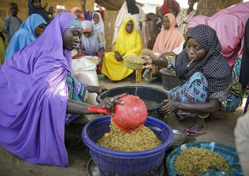 Processing of paddy rice by local women's cooperatives