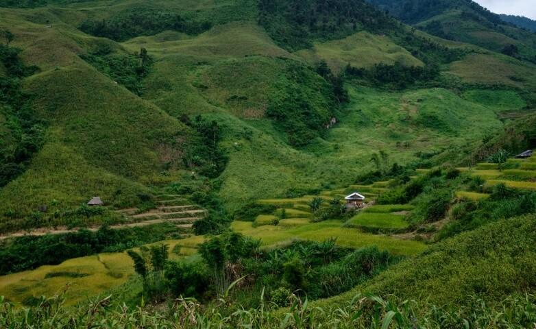 Rice and upland farming fields for land use planning in Houaphan Province, Laos.