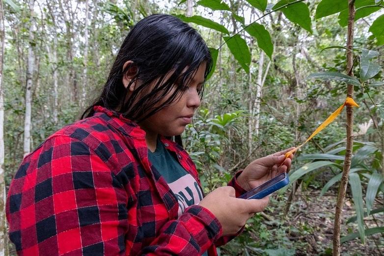 Una persona examina la etiqueta de un árbol joven