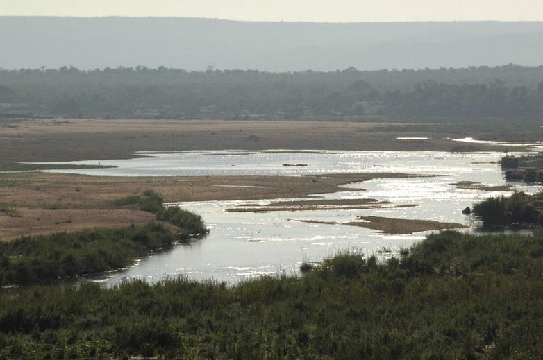 A marshy riverbank in an open landscape with bushes.