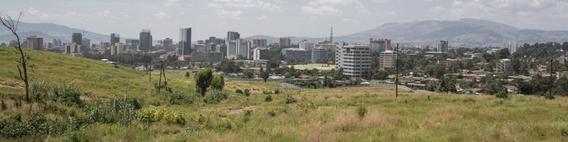 Blick von einem Hügel auf eine Stadt