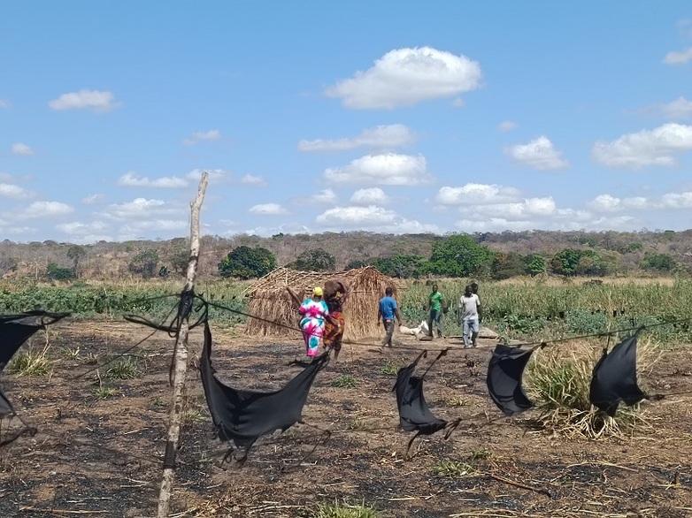 Cultivated field with chilli fence: A fence with rags soaked in chilli paste protects a cultivated field in the Ruvuma landscape. Copyright: GIZ / Jens Brüggemann