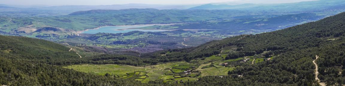 Paysage verdoyant et vallonné